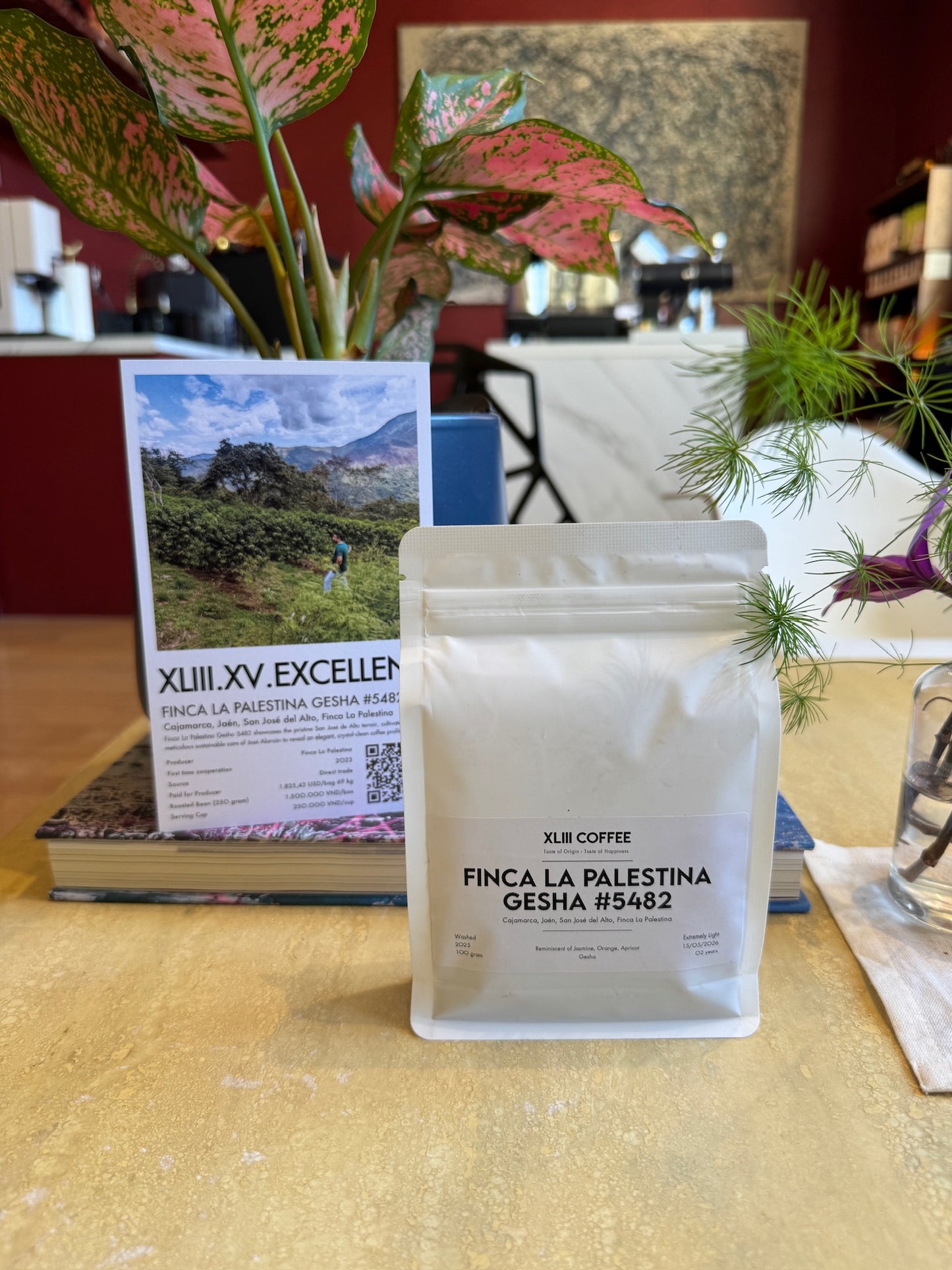 FINCA LA PALESTINA GESHA #5482 - GESHA, WASHED - PERU