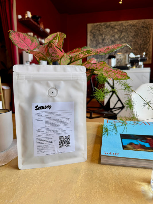 WILSON MAMANI CONTRERAS’ GESHA – GESHA, ANOXIC NATURAL – PERU