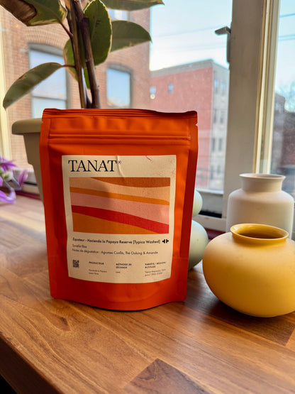 TANAT - HACIENDA LA PAPAYA RESERVE – TYPICA WASHED