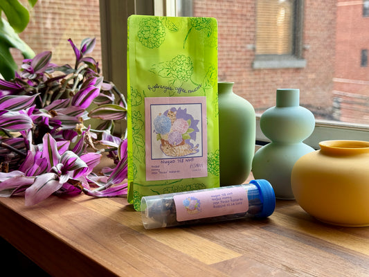 HYDRANGEA x HYUNAH - NUGUO 768 NHF - GESHA, HONEY - PANAMA