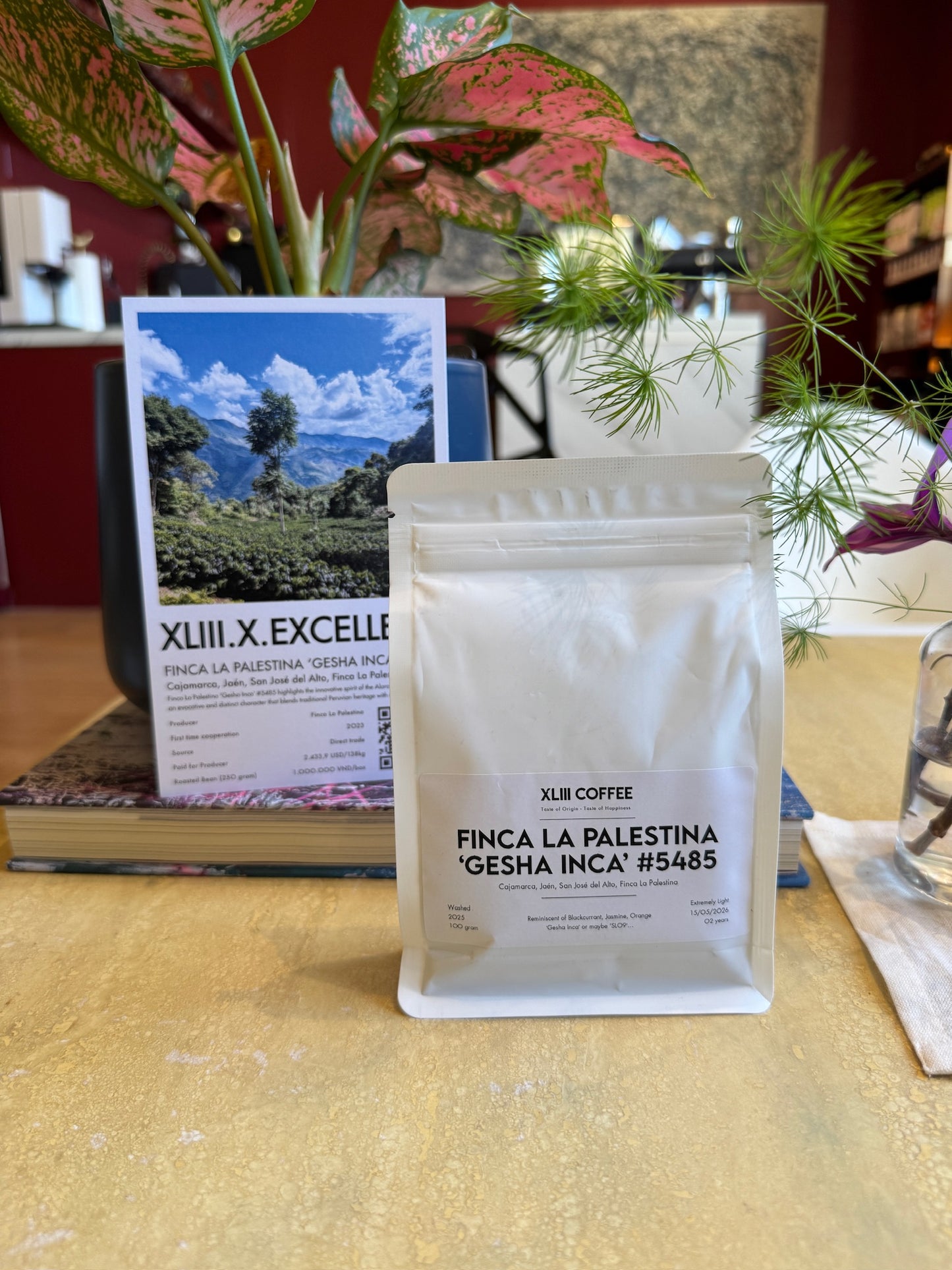 FINCA LA PALESTINA GESHA INCA #5485 - INCA GESHA, WASHED - PERU