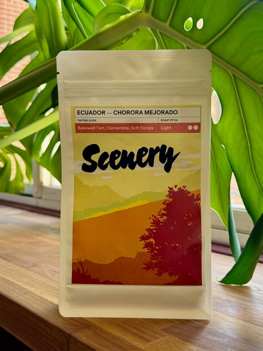 CHORORA "RED WASHED" MEJORADO [25/26] - MEJORADO, YEAST INOCULATED ANOXIC WASHED - ECUADOR
