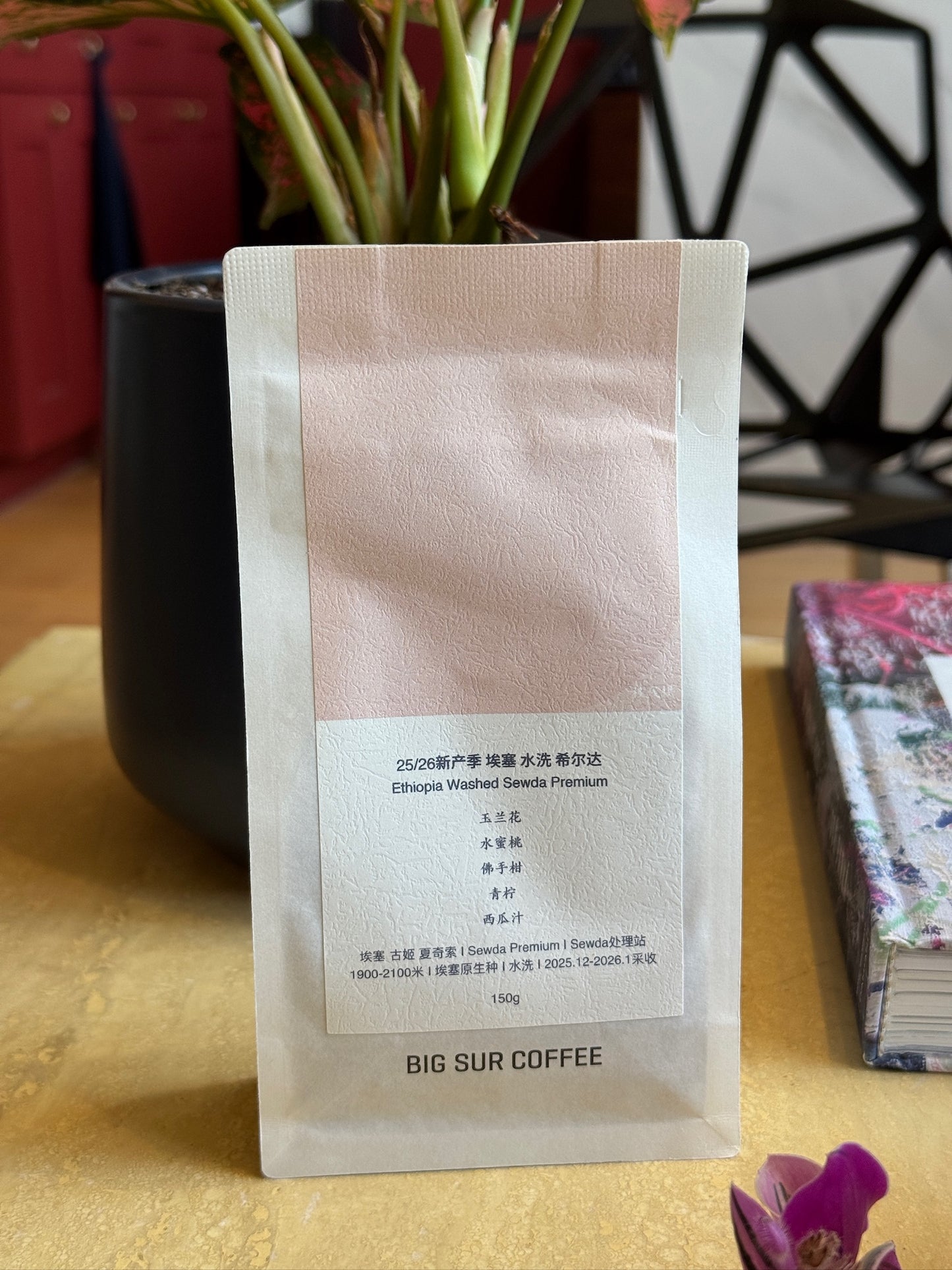 SEWDA G1 PREMIUM - HEIRLOOM, WASHED - ETHIOPIA