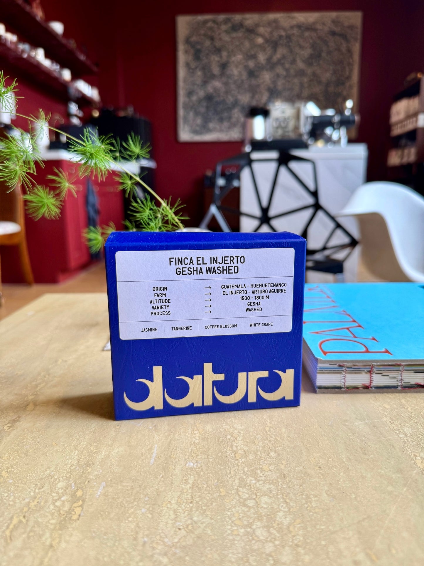 FINCA EL INJERTO - GESHA, WASHED - GUATEMALA