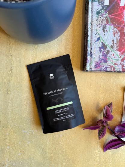 ESMERALDA SPECIAL NORIA 5FB - GEISHA, WASHED - PANAMA