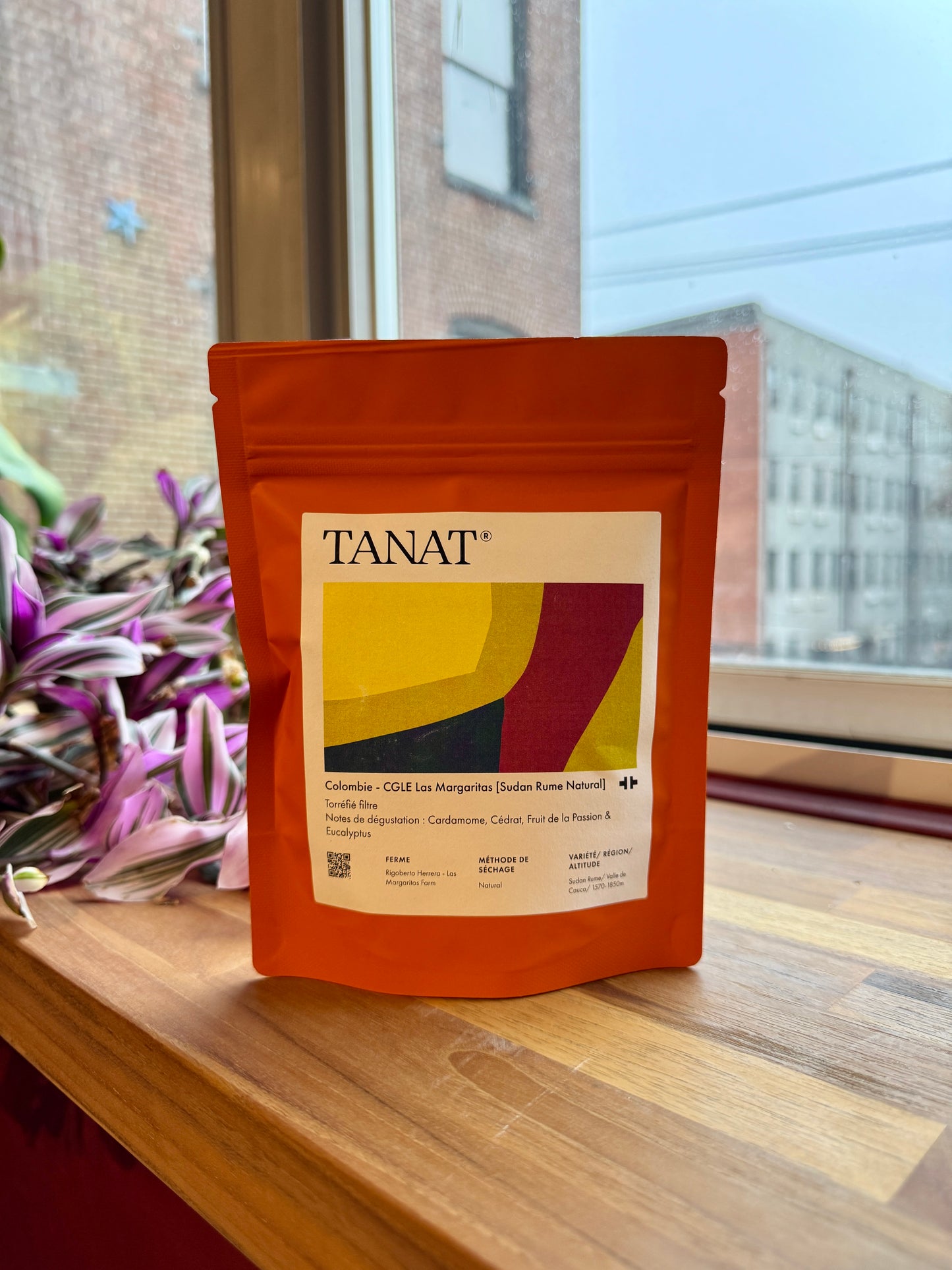 CGLE LAS MARGARITAS - SUDAN RUME, NATURAL - COLOMBIA