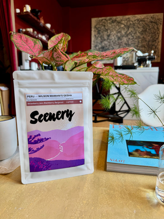 WILSON MAMANI CONTRERAS’ GESHA – GESHA, ANOXIC NATURAL – PERU