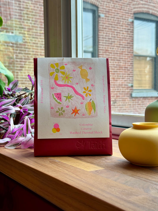 JORGE MIRA J-01 – CATURRA, WASHED THERMAL SHOCK - COLOMBIA