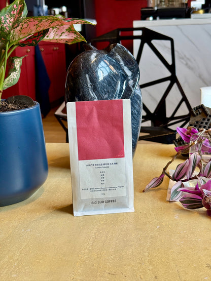NARIÑO CUMBRE CELESTIAL - GEISHA, WASHED - COLOMBIA