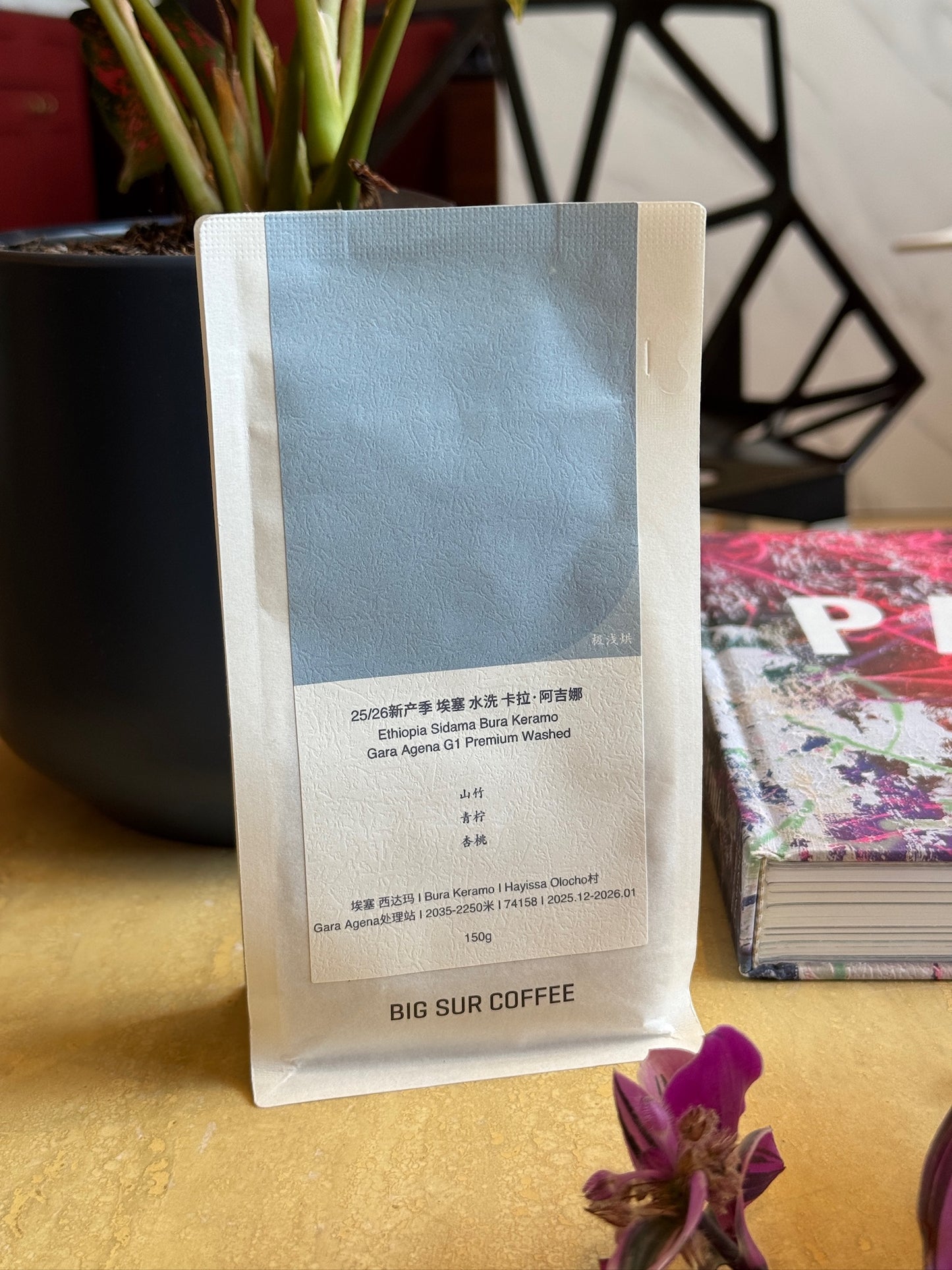 SIDAMA BURA KERAMO GARA AGENA G1 PREMIUM - 74158, WASHED - ETHIOPIA