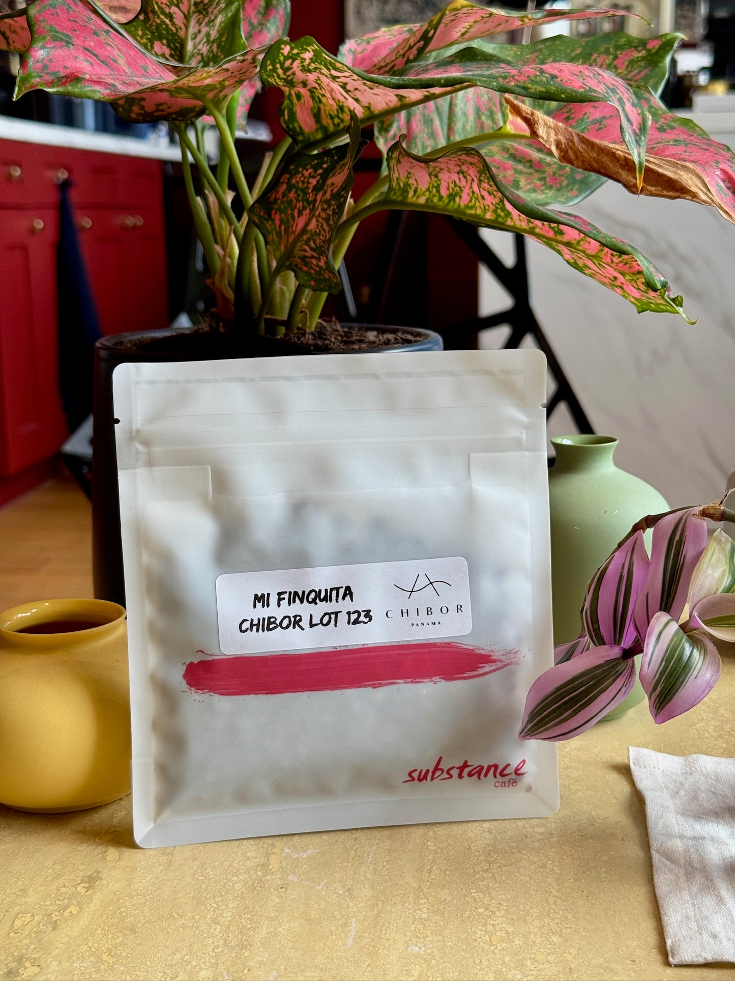 MI FINQUITA CHIBOR LOT 123 - GEISHA, WASHED - PANAMA