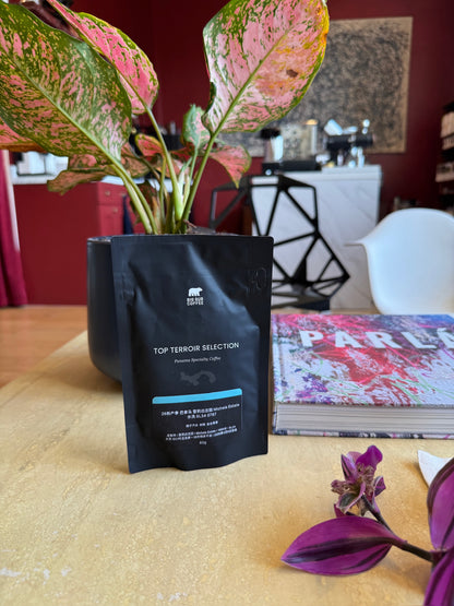 FINCA LERIDA MICHELA ESTATE 0787 - SL34, WASHED - PANAMA