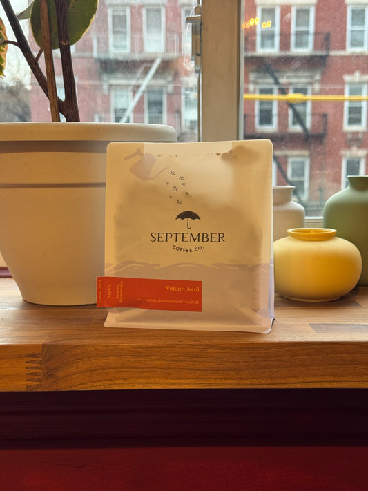 SEPTEMBER - VOLCAN AZUL – TYPICA ANAEROBIC