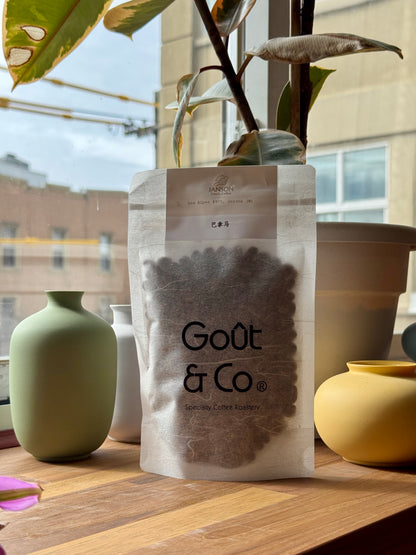 JANSON FAMILY LOS ALPES – GREEN TIP GEISHA, CLASSIC WASHED – PANAMA