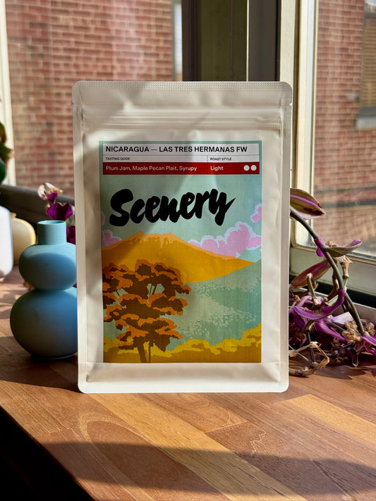 LAS TRES HERMANAS TEKISIC FW [25/26] - BOURBON TEKISIC, TRADITIONAL WASHED - NICARAGUA
