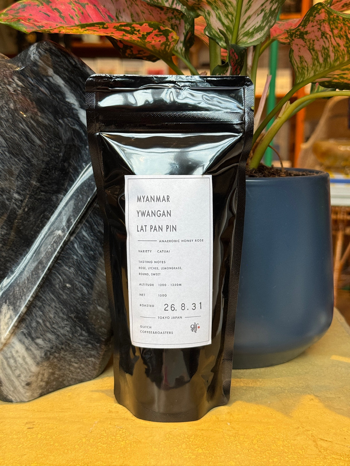 YWANGAN LAT PAT PIN - CATUAI, ANAEROBIC HONEY ROSE - MYANMAR