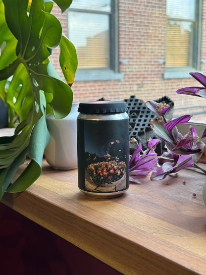 ALO CHILAKA [48H ANAEROBIC NATURAL] - 74158, ANAEROBIC NATURAL - ETHIOPIA