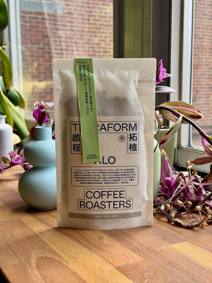 ALO FAFICHO - 74158, ZERO FERMENTATION WASHED - ETHIOPIA