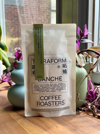 DANCHE - ETHIOPIAN LANDRACE, WASHED - ETHIOPIA