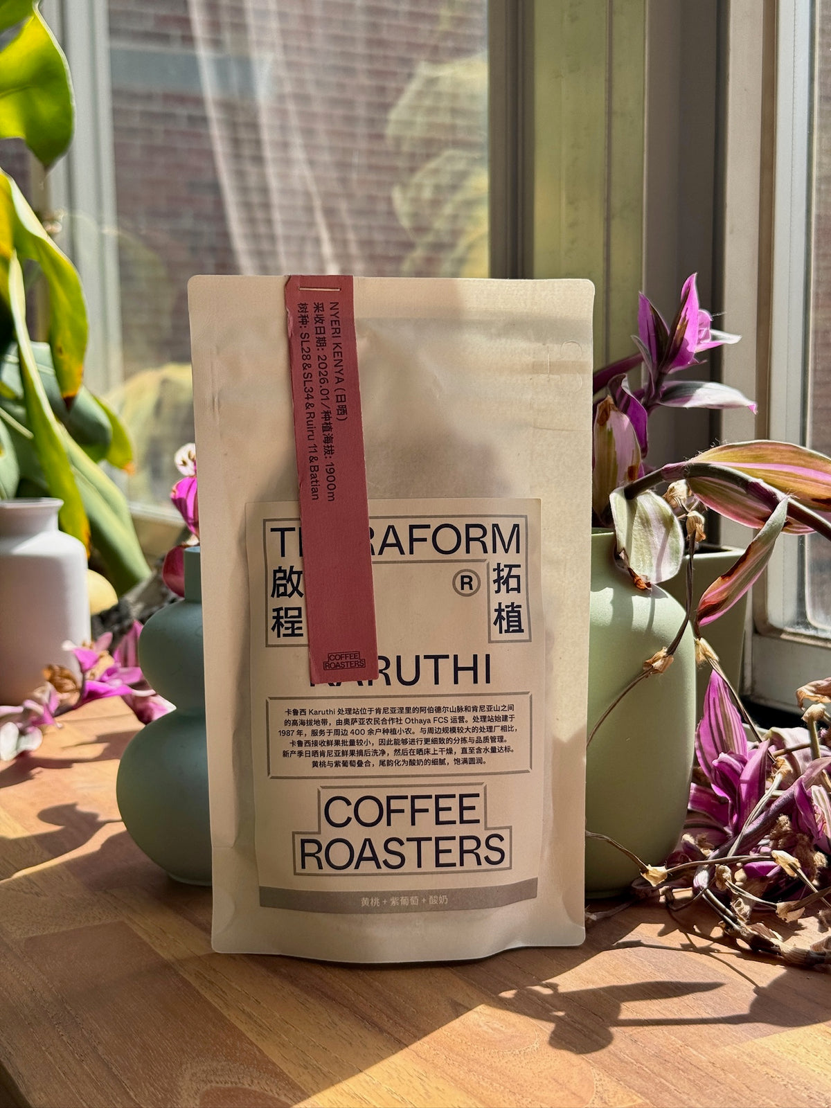 KARUTHI - SL28, SL34, RUIRU 11 & BATIAN, NATURAL - KENYA
