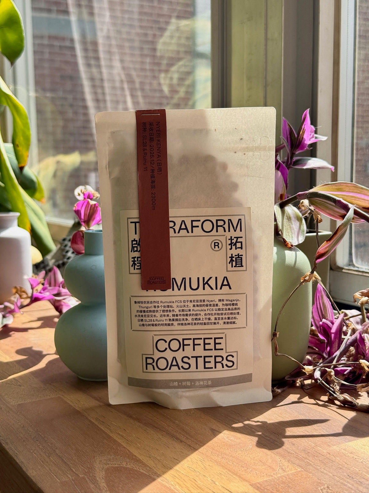 RUMUKIA - SL28 & RUIRU 11, NATURAL - KENYA