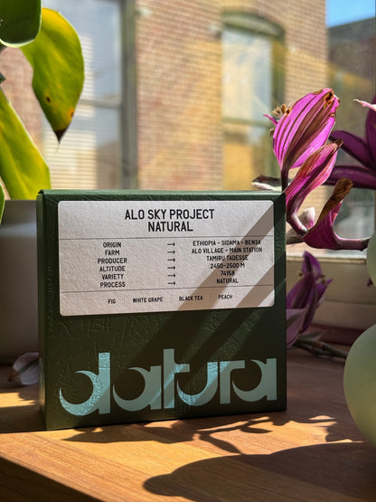 39-Datura-AloSkyProject-74158-Natural_3