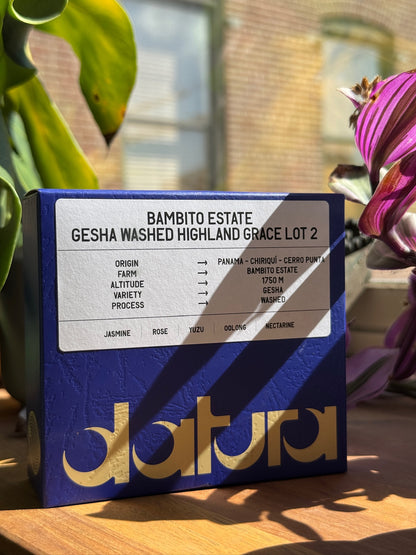 39-Datura-BambitoEstateHighlandGraceLot2-Gesha-Washed_8