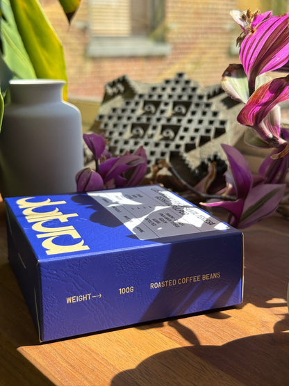 39-Datura-LostOriginXFincaSantaTeresa-Gesha-Depulped_5