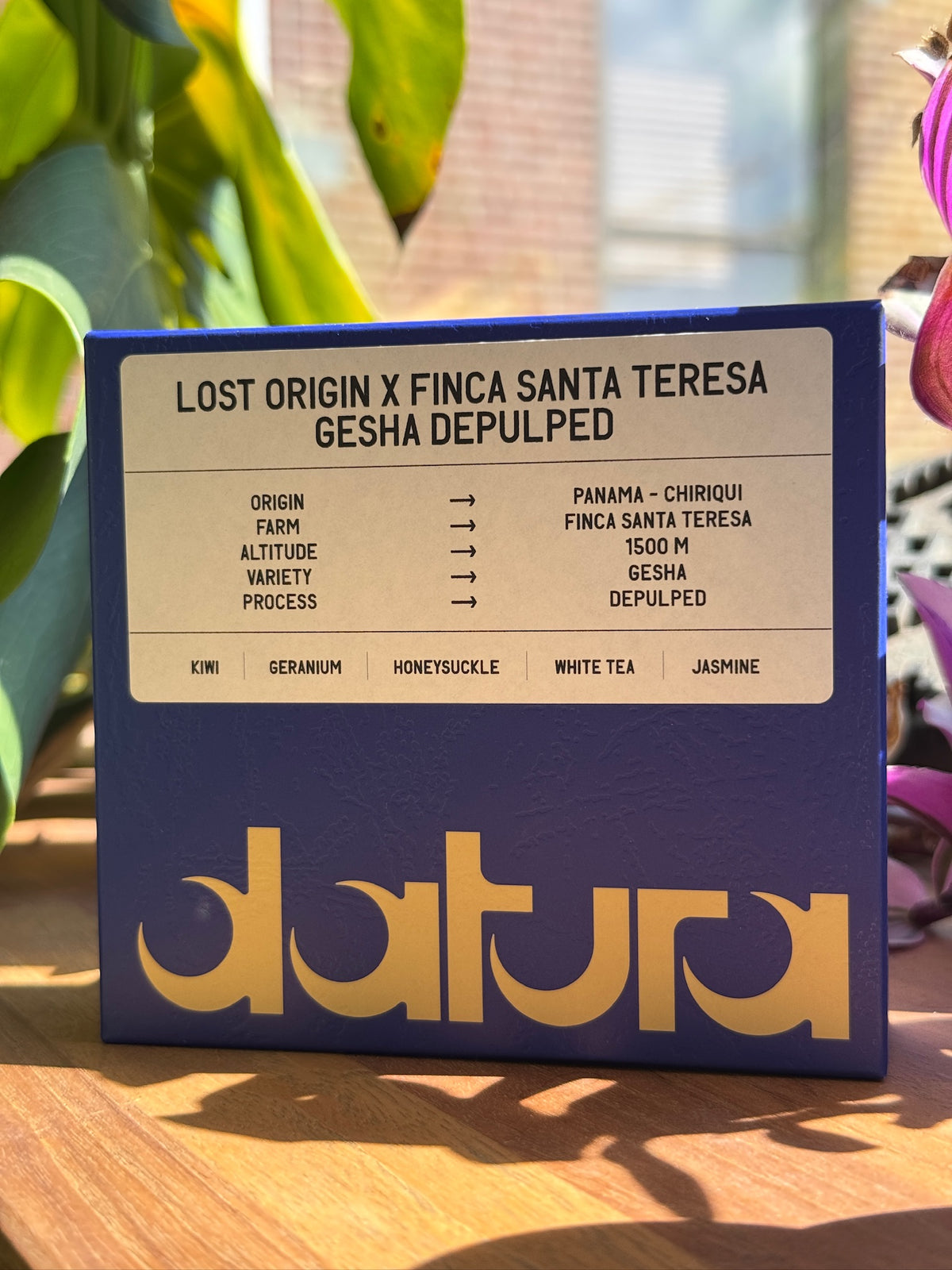 39-Datura-LostOriginXFincaSantaTeresa-Gesha-Depulped_6