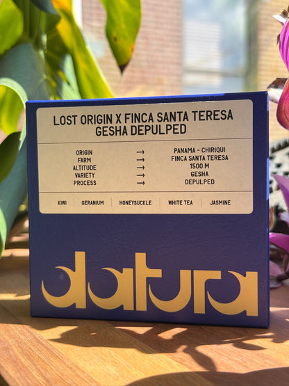 39-Datura-LostOriginXFincaSantaTeresa-Gesha-Depulped_6