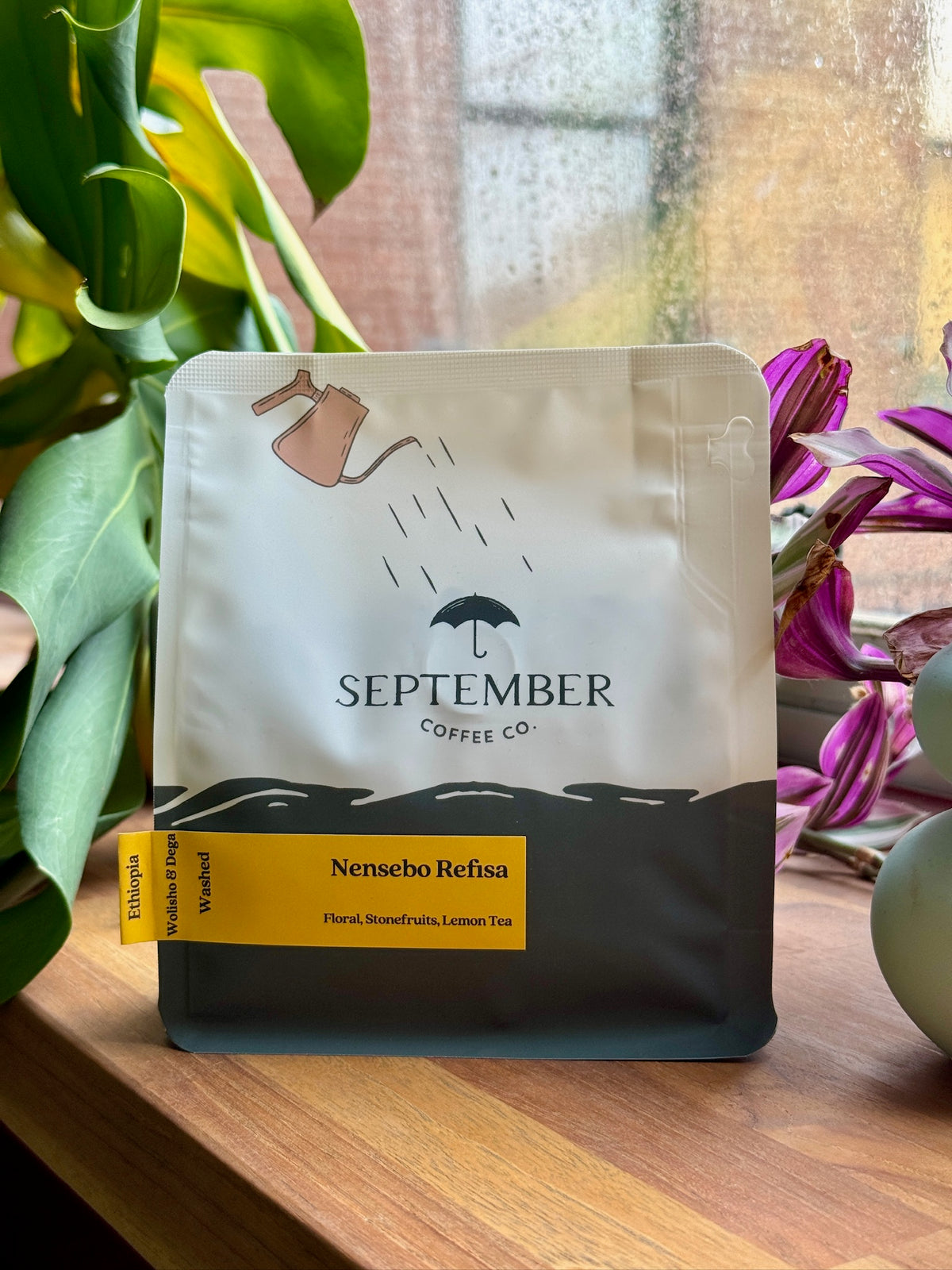NENSEBO REFISA - WOLISHO & DEGA, WASHED - ETHIOPIA