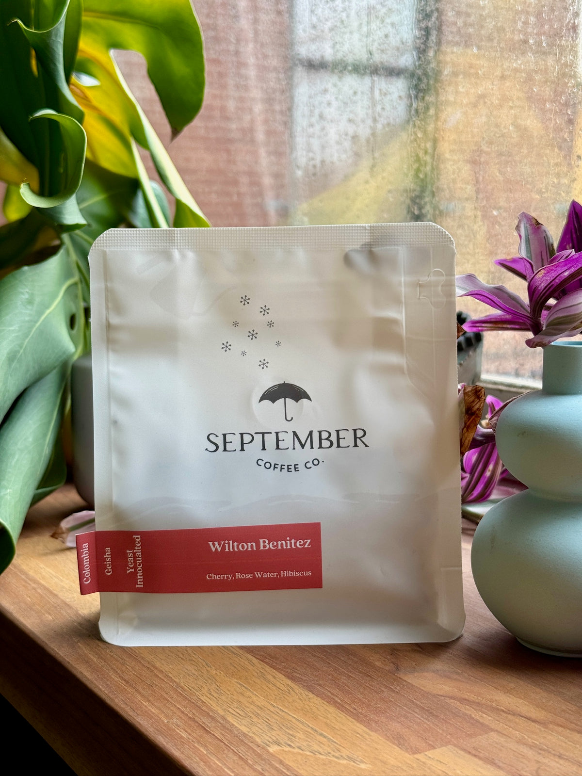 WILTON BENITEZ - GEISHA, YEAST-INOCULATED ANAEROBIC WASHED - COLOMBIA