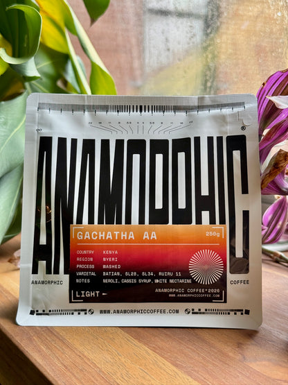 GACHATHA AA - BATIAN, SL-28, SL-34 & RUIRU 11, WASHED - KENYA