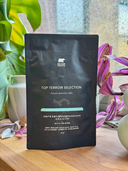 FINCA LERIDA MICHELA ESTATE 0787 - SL34, WASHED - PANAMA