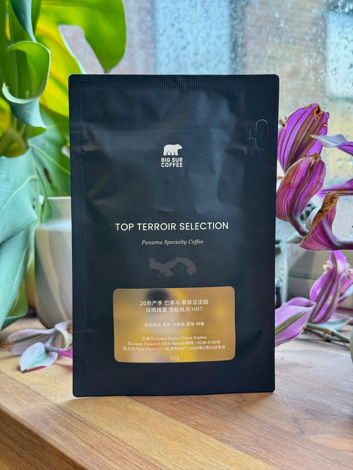 FINCA SOPHIA HERITAGE COLLECTION AUCTION LOT HN7 - GEISHA, NATURAL - PANAMA