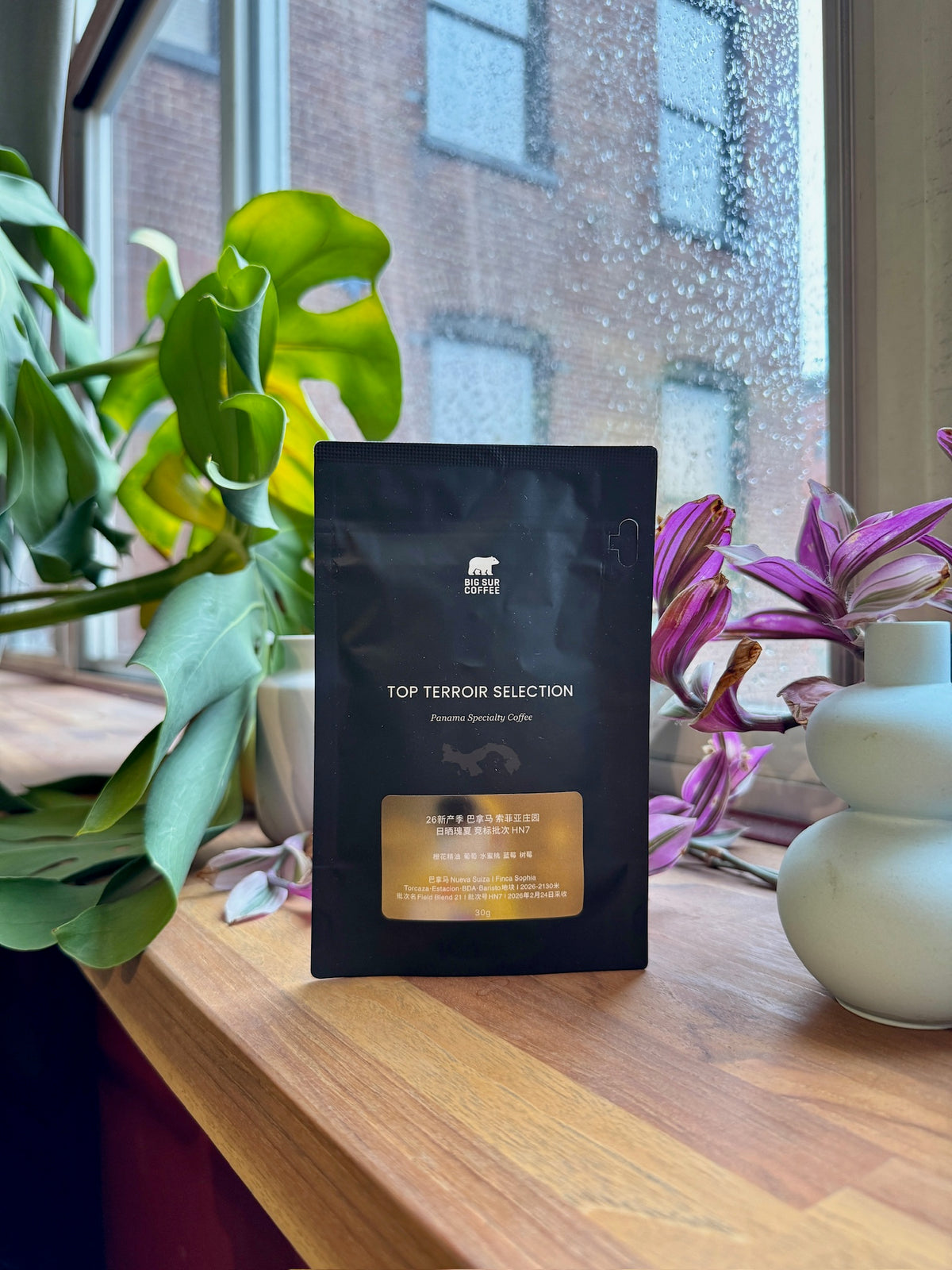 FINCA SOPHIA HERITAGE COLLECTION AUCTION LOT HN7 - GEISHA, NATURAL - PANAMA