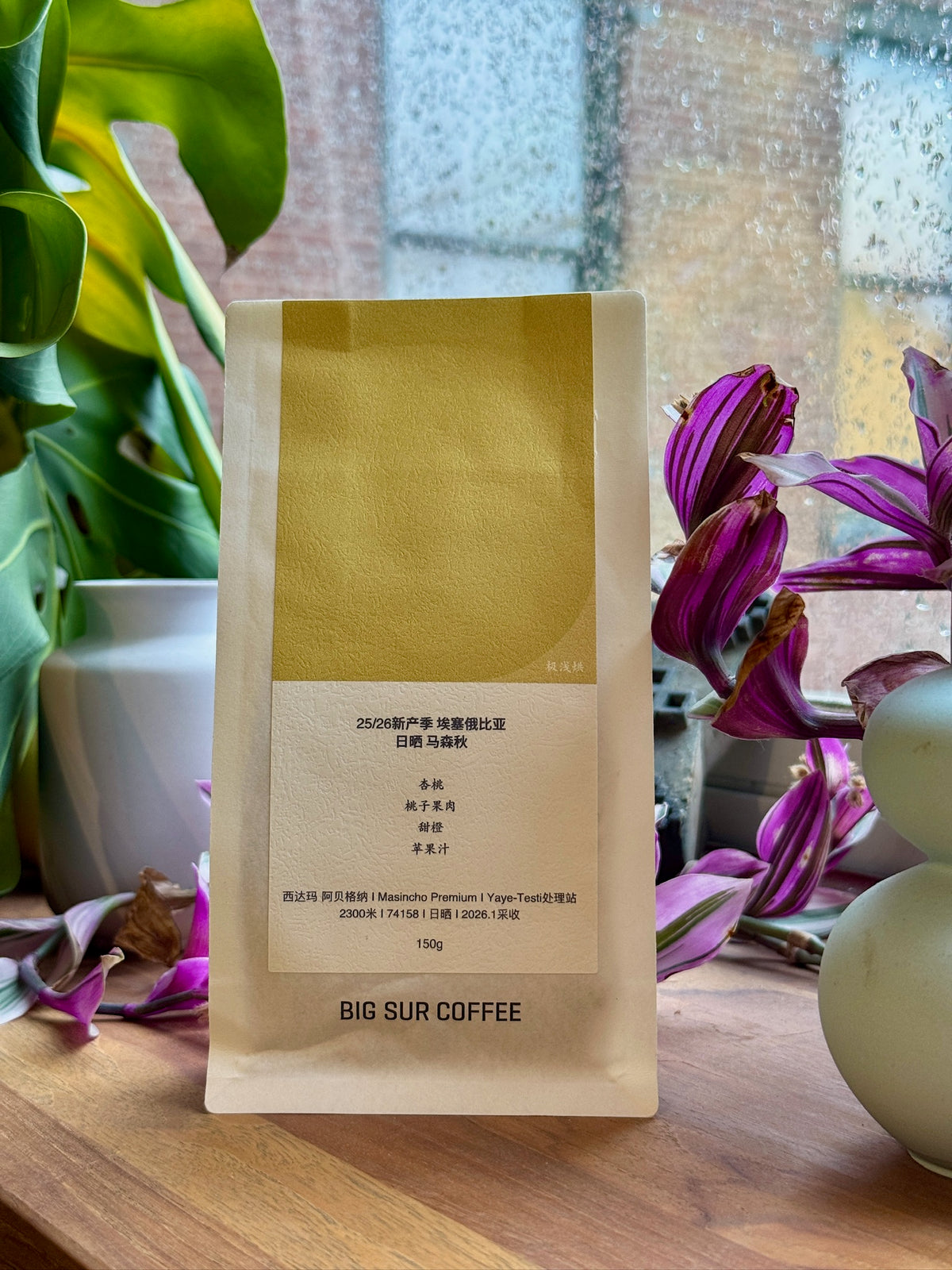 SIDAMA ARBEGONA MASINCHO G1 PREMIUM - 74158, NATURAL - ETHIOPIA
