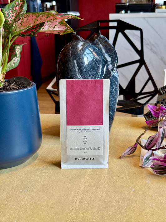 GATURA AA - SL28 & SL34, WASHED - KENYA