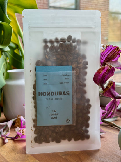 EL NACIMIENTO - PACAS, WASHED - HONDURAS