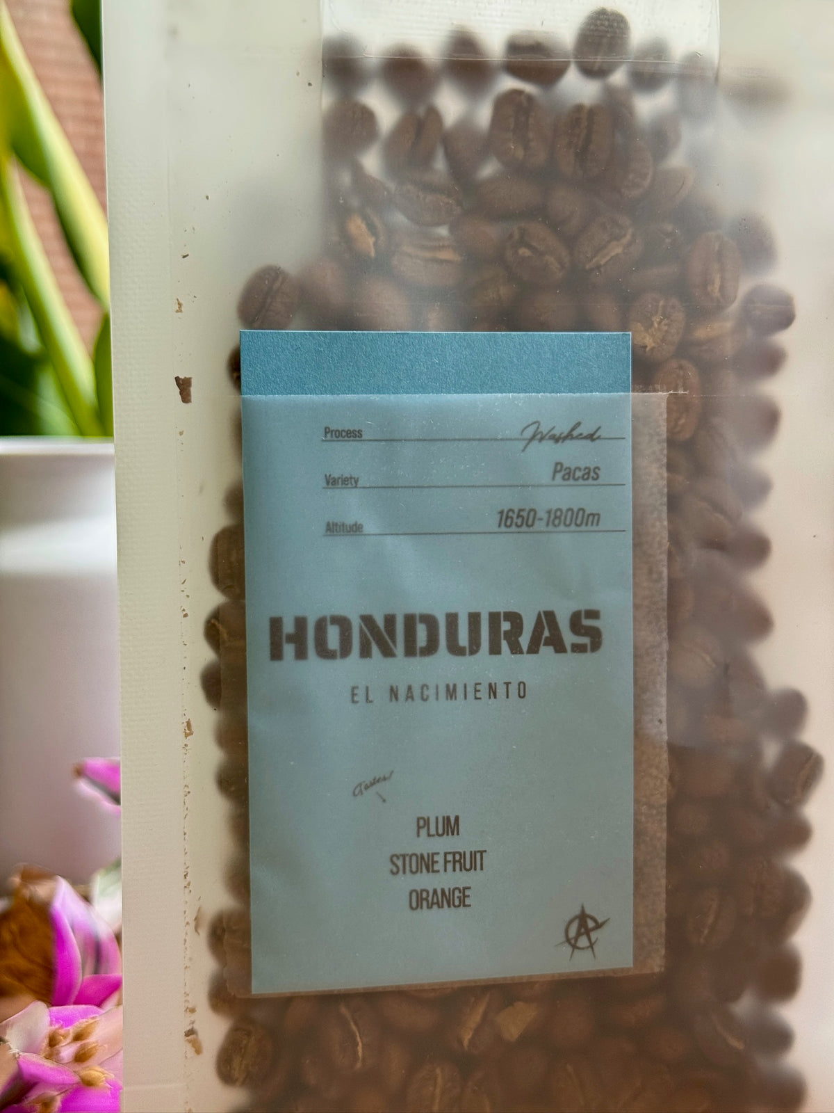 EL NACIMIENTO - PACAS, WASHED - HONDURAS