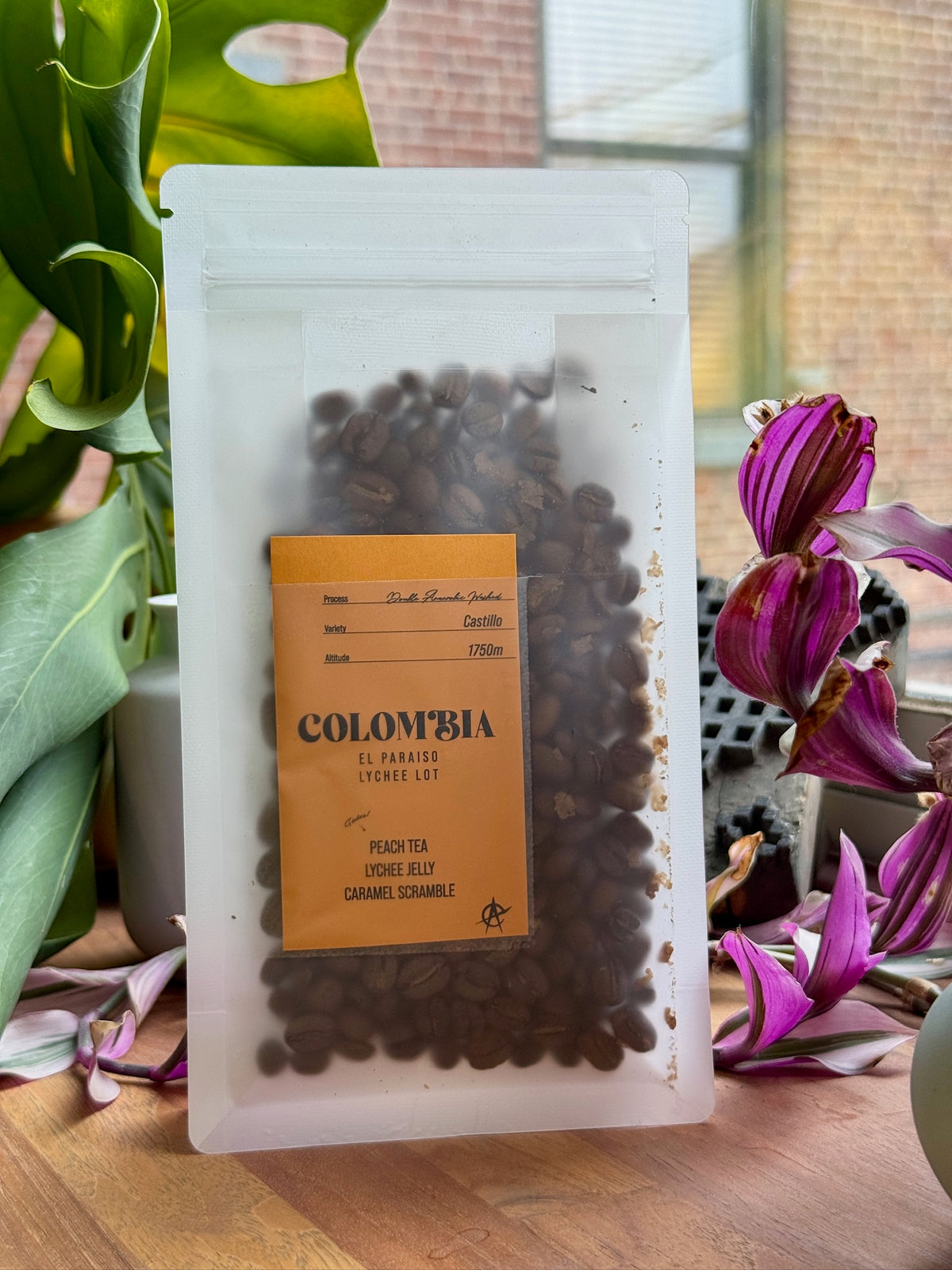 EL PARAISO LYCHEE LOT - CASTILLO, DOUBLE ANAEROBIC WASHED - COLOMBIA