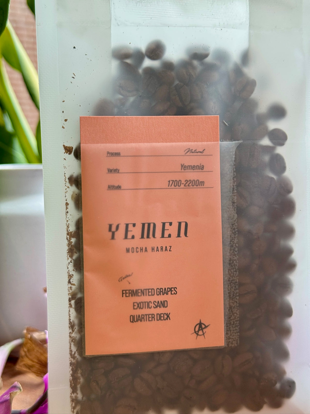 MOCHA HARAZ - YEMENIA, NATURAL - YEMEN
