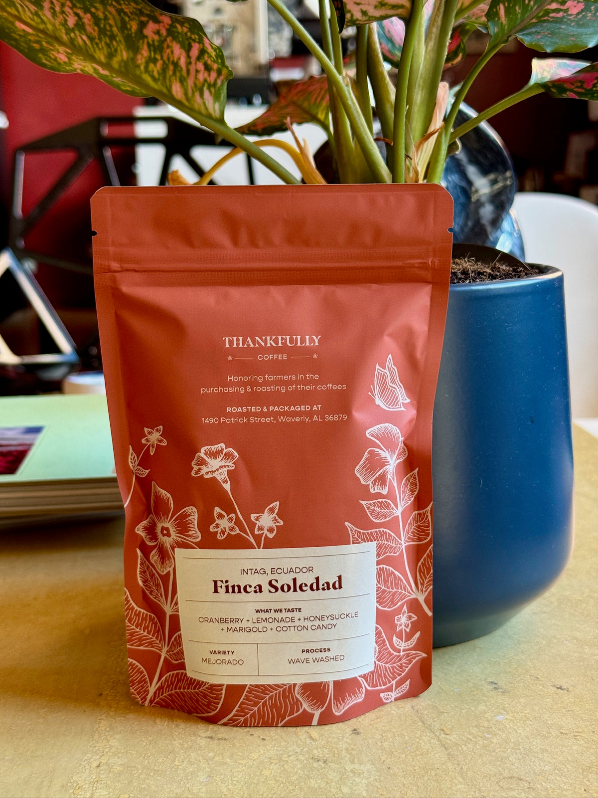 FINCA SOLEDAD - MEJORADO, WAVE WASHED - ECUADOR
