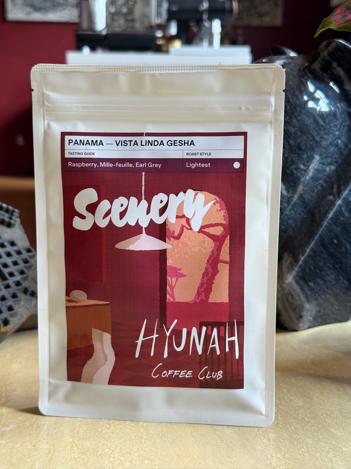 SCENERY x HYUNAH - VISTA LINDA - GESHA, NATURAL - PANAMA