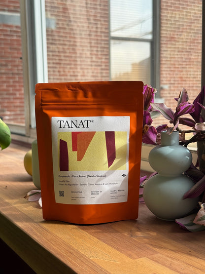 FINCA ROSMA [GEISHA WASHED] - GEISHA, WASHED - GUATEMALA