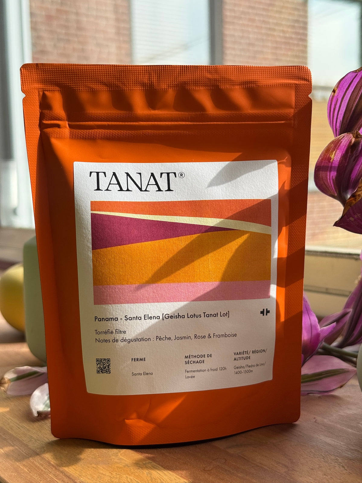 SANTA ELENA [GEISHA LOTUS TANAT LOT] - GEISHA, 120H COLD FERMENTATION WASHED - PANAMA