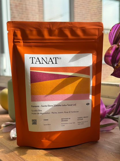 SANTA ELENA [GEISHA LOTUS TANAT LOT] - GEISHA, 120H COLD FERMENTATION WASHED - PANAMA