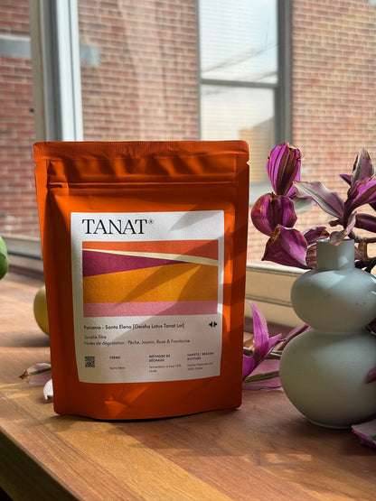 SANTA ELENA [GEISHA LOTUS TANAT LOT] - GEISHA, 120H COLD FERMENTATION WASHED - PANAMA