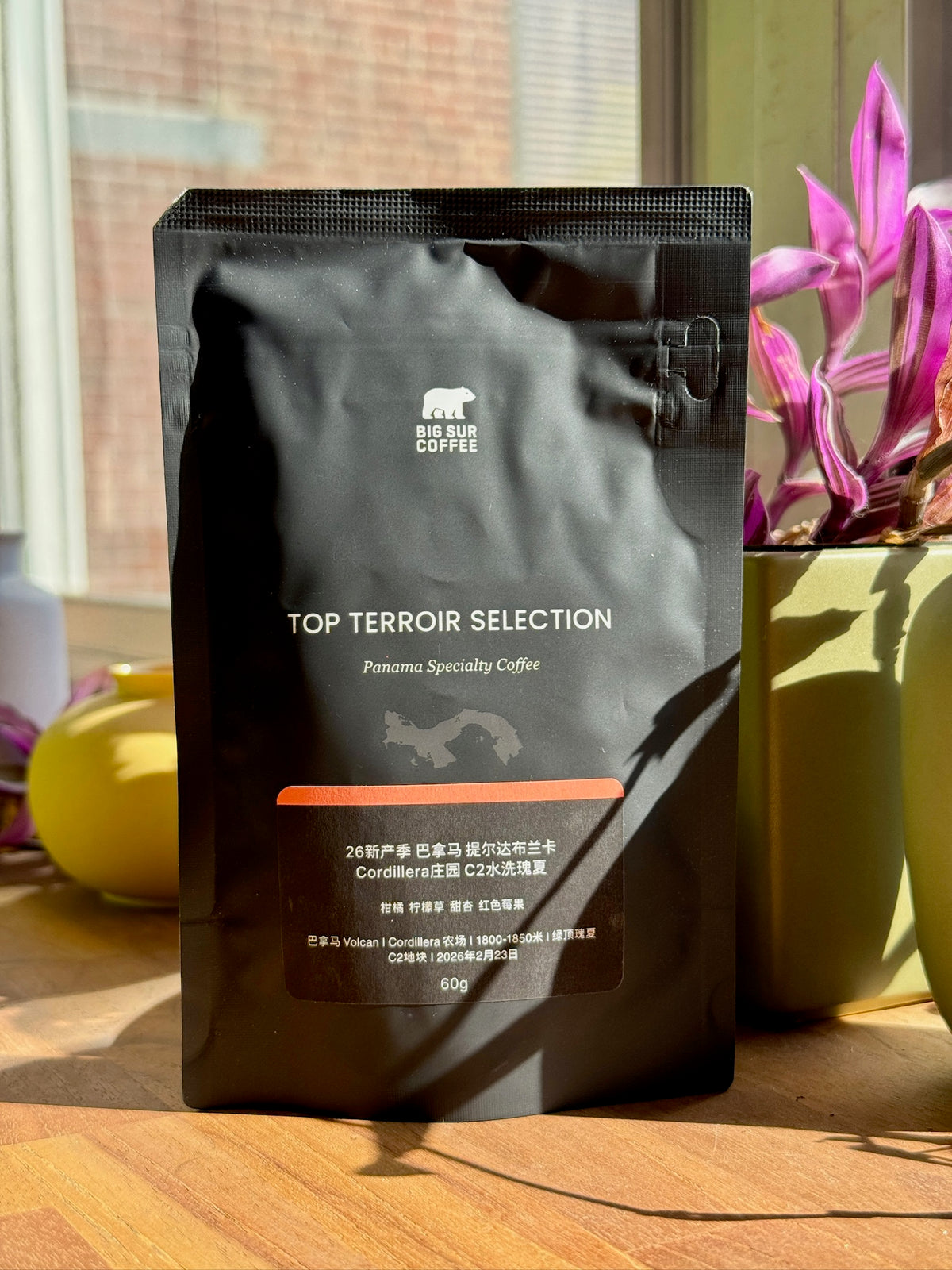 TIERRA BLANCA CORDILLERA C2 - GREEN TIP GEISHA, WASHED - PANAMA