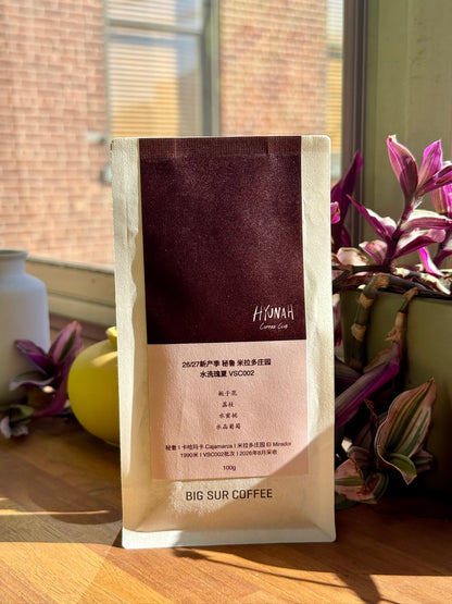 BIG SUR x HYUNAH - EL MIRADOR VSC002 - GEISHA, WASHED - PERU